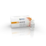 GUNA MD-Muscle - Kolagen 10 x 2ml