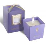 JFENZI - ŚWIECA SOJOWA GODDESS IN THE GARDEN  200G 